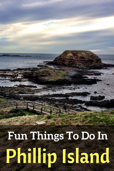 fun things to do in Phillip Island