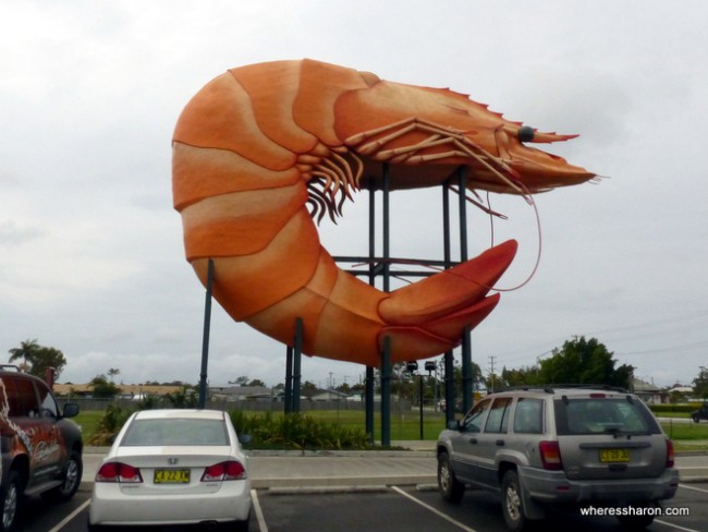 what to do around byron bay, visit Ballina Big Prawn