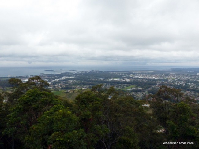 Sealy Lookout and Forest Sky Pier