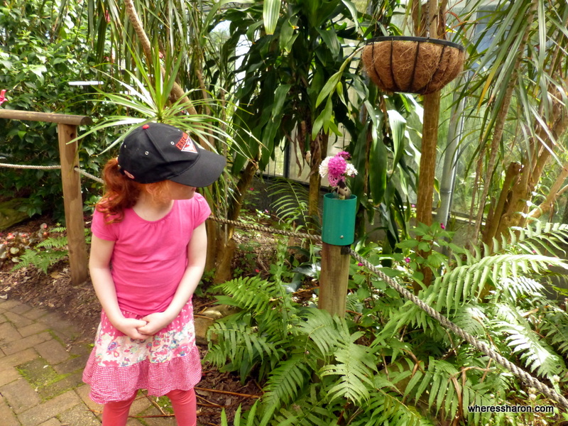 Coffs Harbour Butterfly House