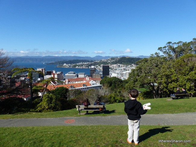 The views from the Botanic Gardens.