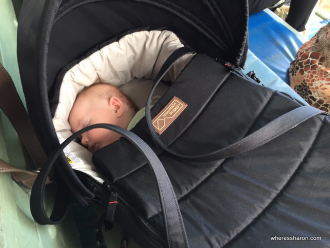 mountain buggy nano sleeping bag