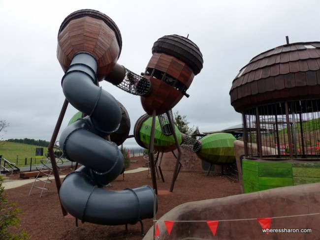 tourist attractions near canberra at Pods Playground