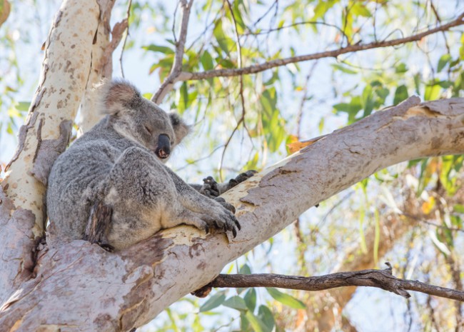 fun stuff to do in canberra