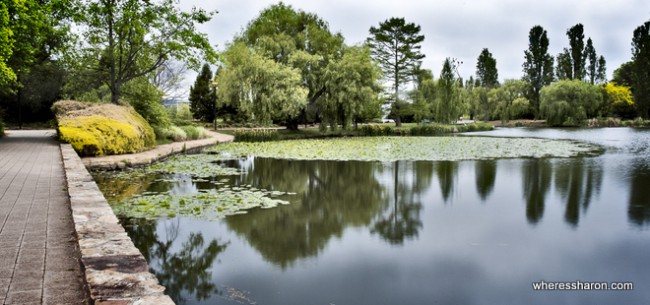 canberra natural attractions at Lake Burley Griffin