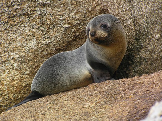 places to visit north west coast tasmania