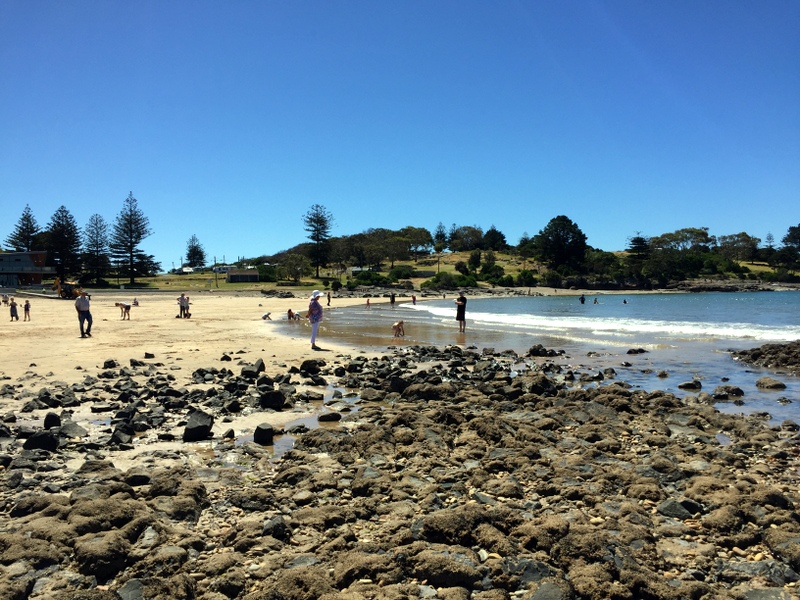 things to do in devonport