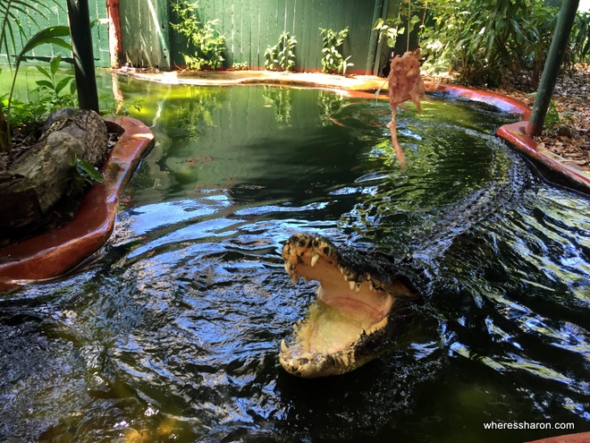 Marineland Melanesia Green Island Cairns