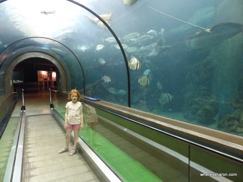 phuket for kids and families at Phuket Aquarium