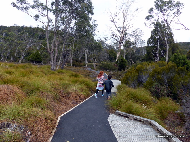 Enchanted Walk Cradle Mountain