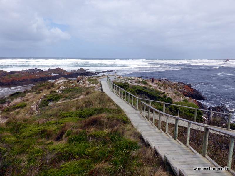 Edge of the World Arthur's River