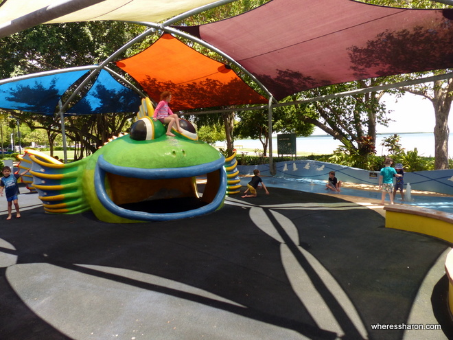family things to do in cairns at muddys playground