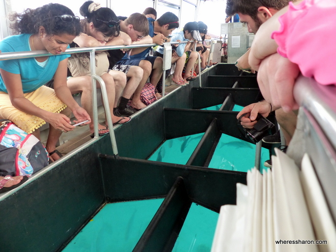 Glass Bottom Boat Tour Green Island Cairns Australia