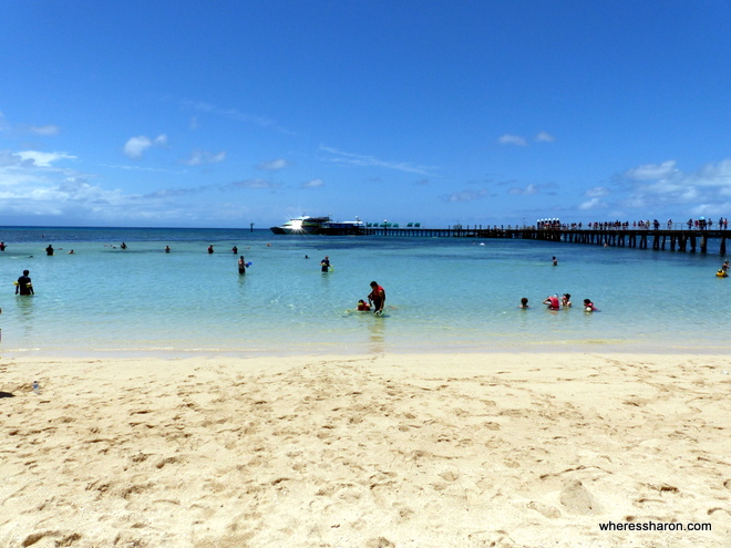 family activities cairns at Green Island