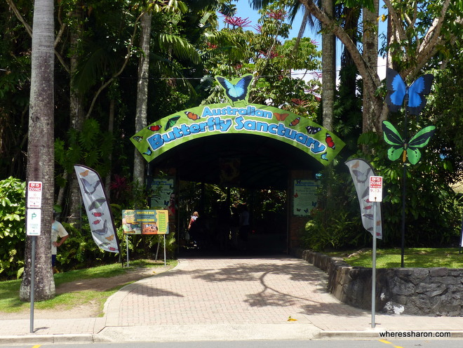 Australia Butterfly Sanctuary Kuranda