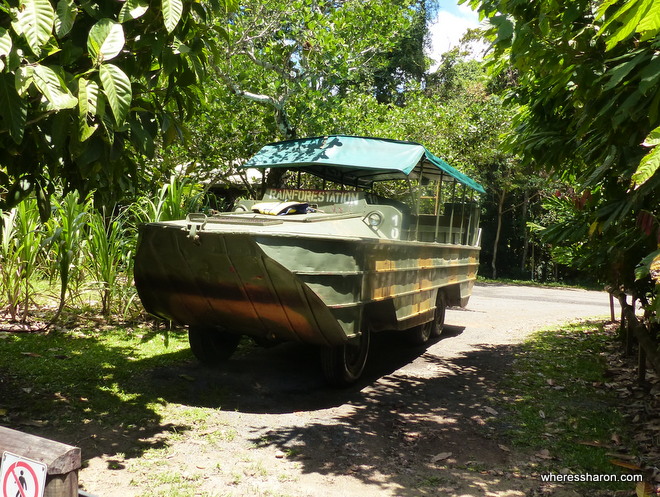 Rainforestation Wildlife Park cairns army duck