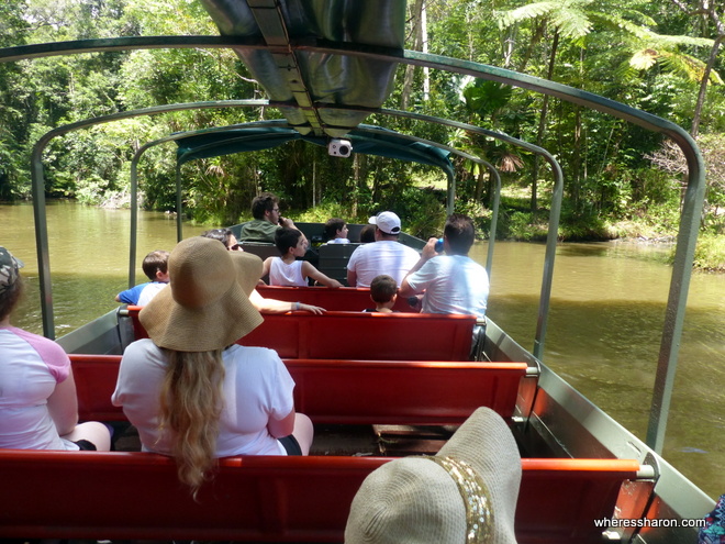 Rainforestation Wildlife Park cairns army duck