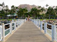 Top 11 Things to do in Townsville Australia and Magnetic Island