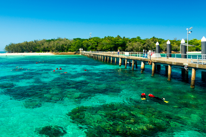 cairns attractions kids at Green Island