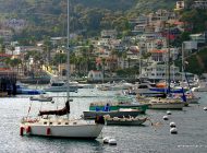 Catalina Island: Things to do