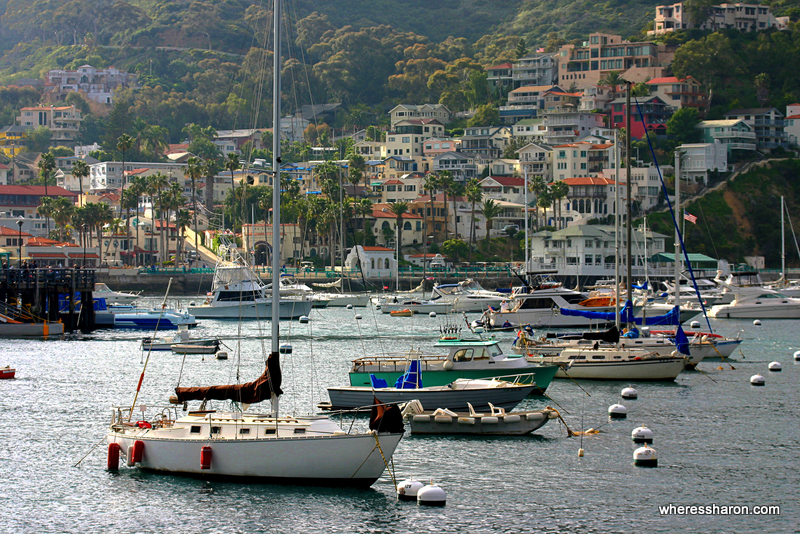 things to do in catalina island