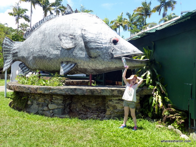 daintree things to do with kids