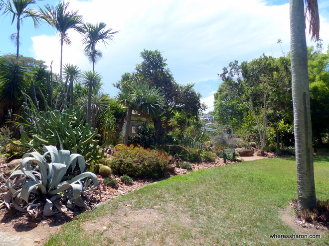 free things to do in townsville qld at botanic gardens
