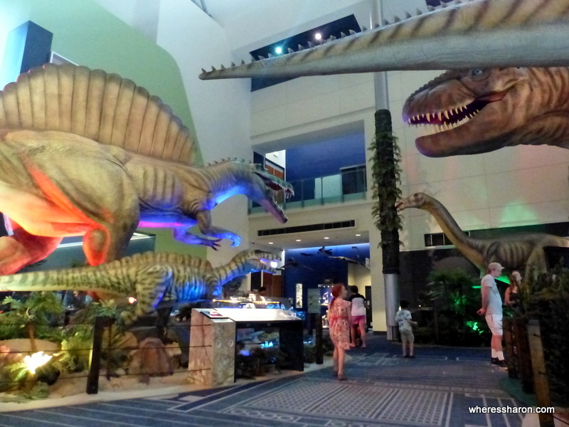 places to visit near townsville at Museum of Tropical Queensland