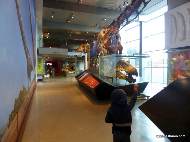 what to do in los angeles with family at Natural History Museum Los Angeles