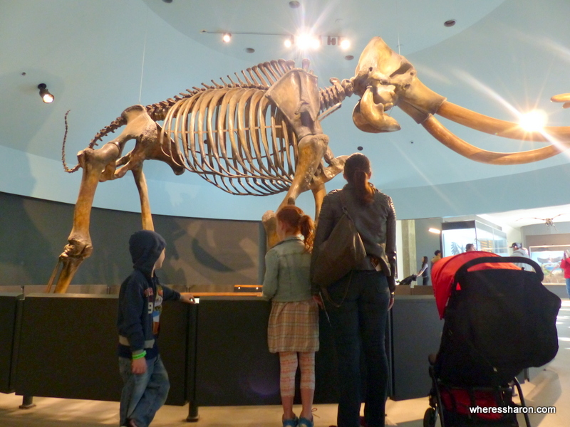 what to do in los angeles for kids at La Brea Tar Pits