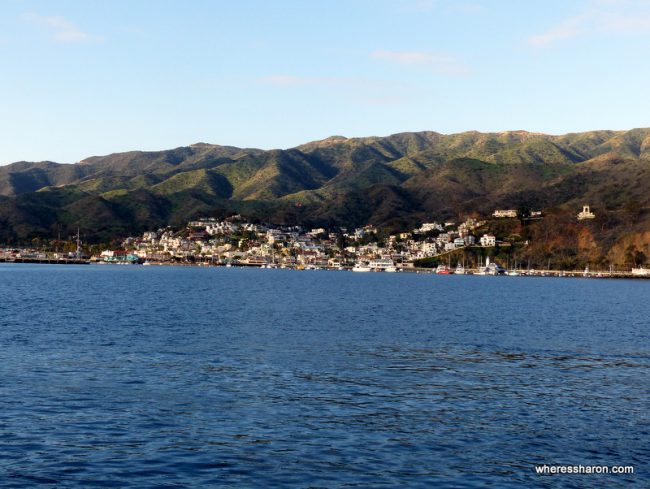 catalina island what to do