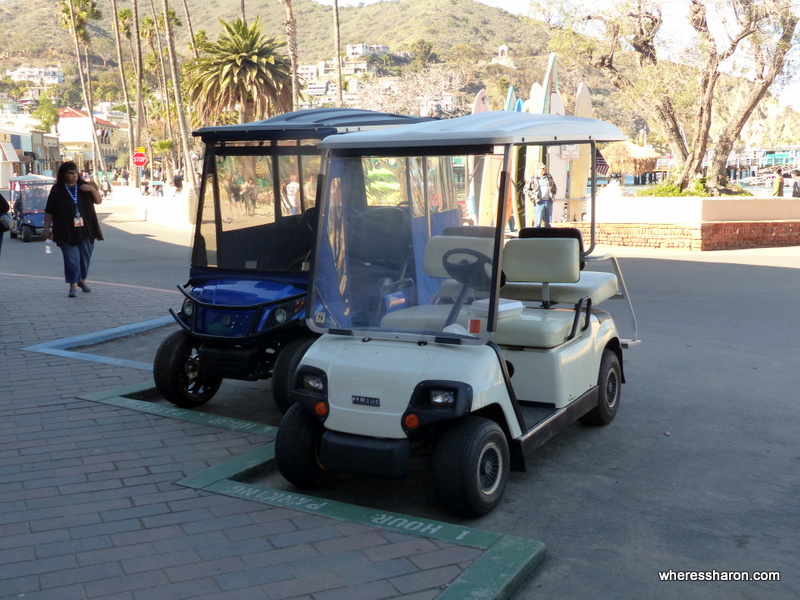 Catalina Island Things to do Family Travel Blog Travel with Kids