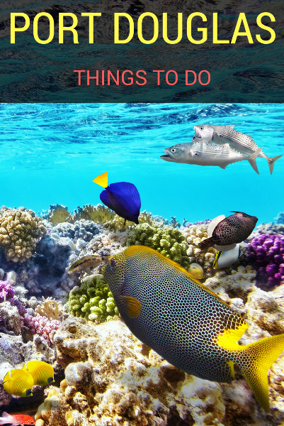 top things to do in PORT DOUGLAS s