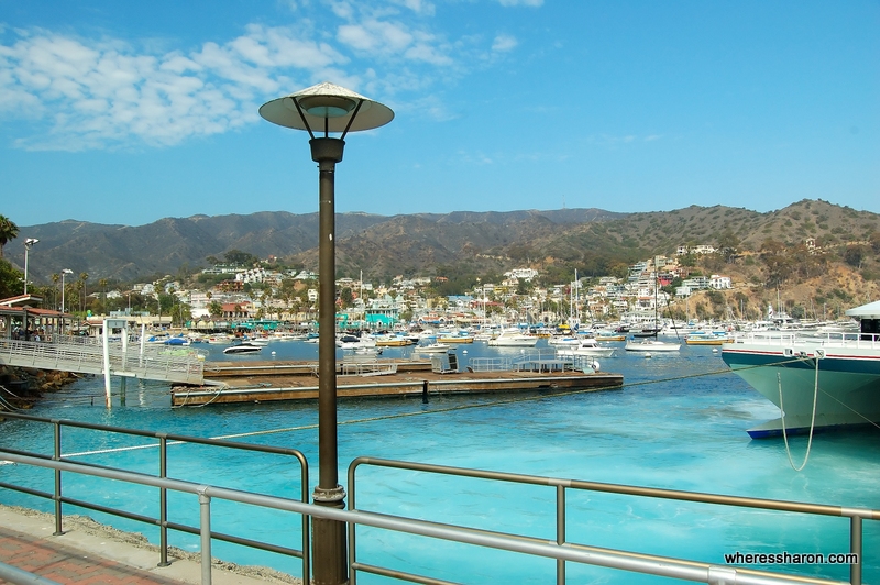 what to see in catalina island 