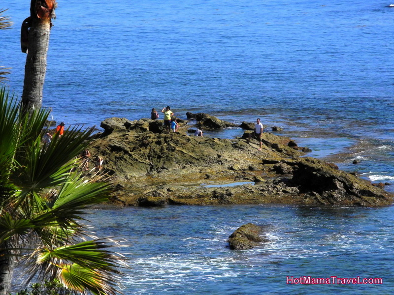 Tide Pools in Laguna and Corona Del Mar