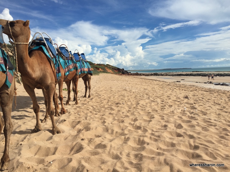 Top 13 things to do in Broome WA