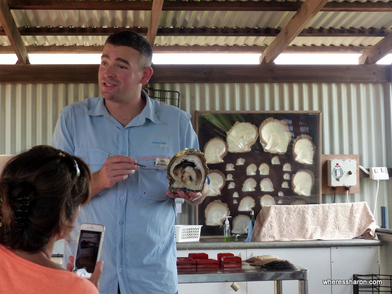 Willie Creek Pearl Farm Tour Broome