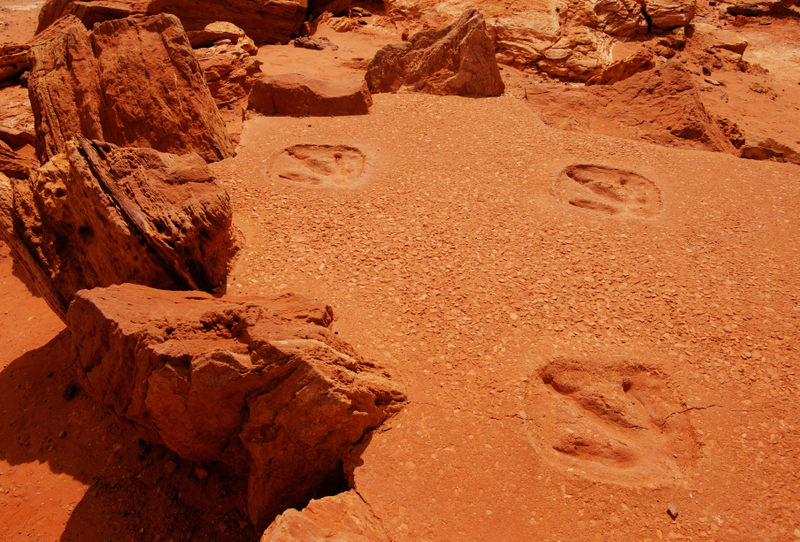 Gantheaume Point Broome