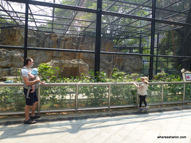 hong kong things to do family parks