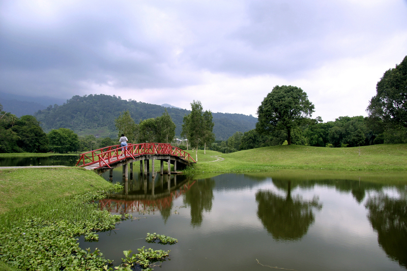 The picturesque Taiping Lake Gardens.