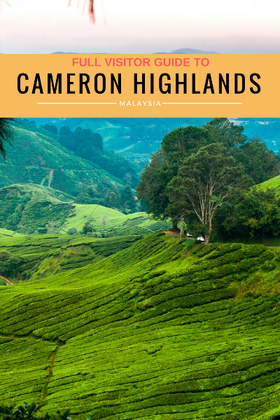 things to do in CAMERON HIGHLANDS