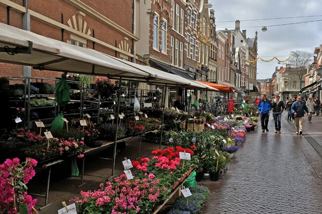 haarlem netherlands things to do