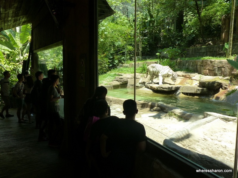 Wildlife Park at sunway lagoon