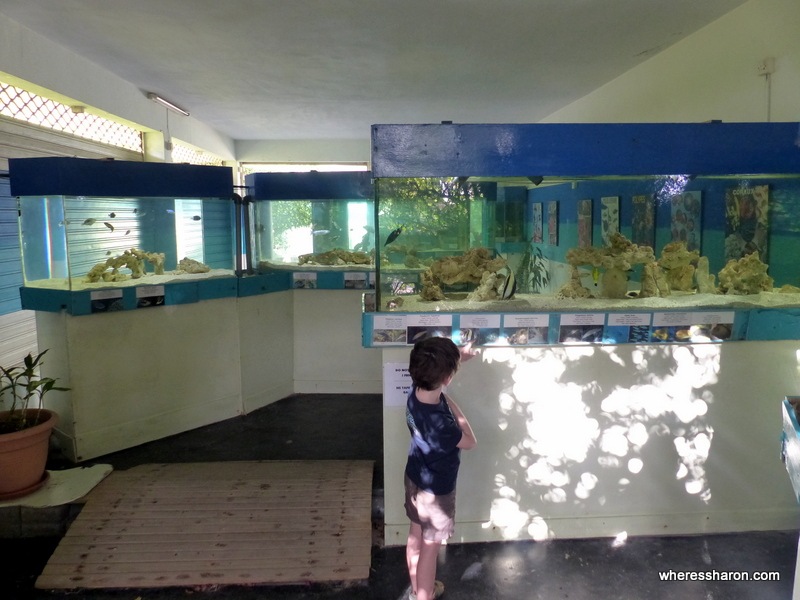 Mauritius Aquarium romantic things to do in mauritius