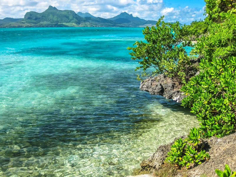  Ile aux Aigrettes balaclava mauritius things to do