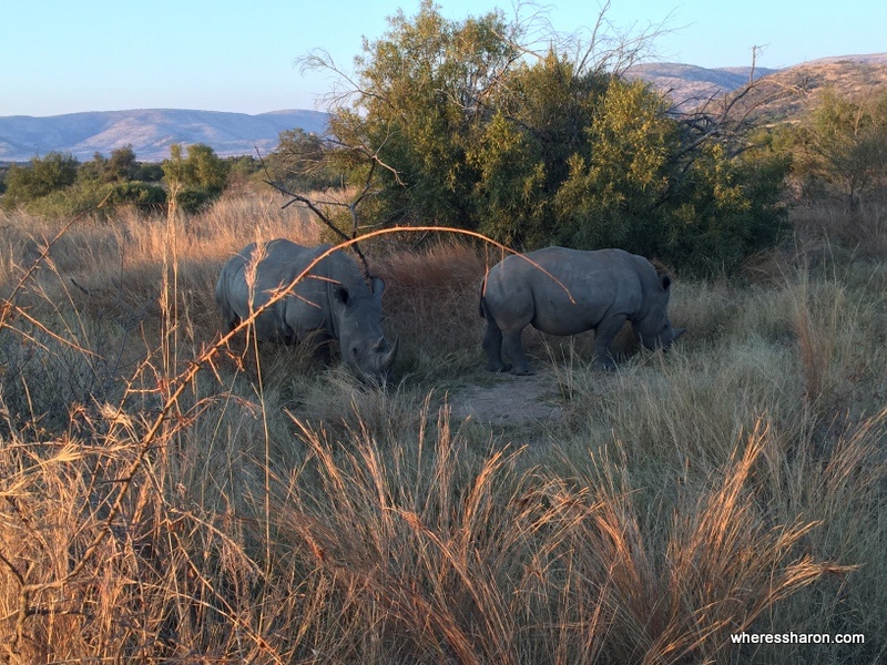 Pilanesberg National Park