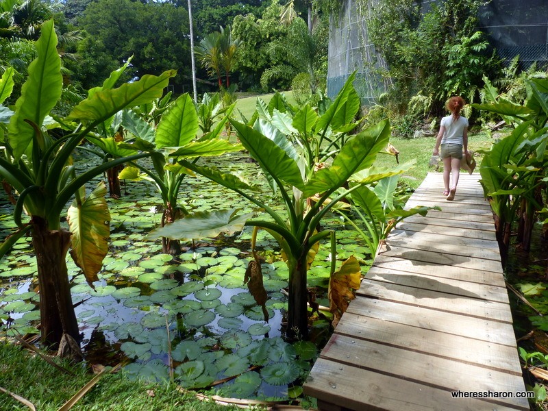 things to do in mahe island seychelles victoria