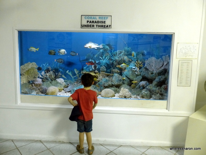 mahe places to visit Natural History Museum