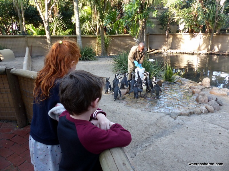 World of Birds kid friendly places in cape town