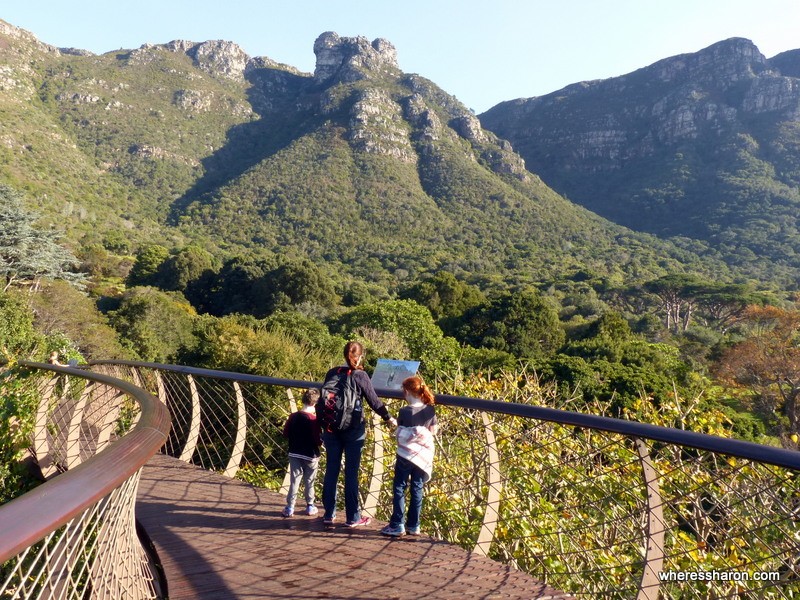 Kirstenbosch Botanical Gardens top 10 things to do in cape town